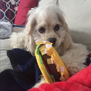 Meet your Posher, Bethany